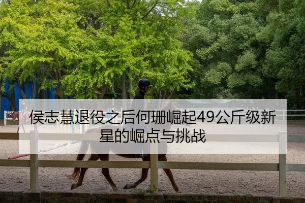 hou-zhi-hui-tui-yi-zhi-hou-he-shan-jue-qi-gong-jin-ji-xin-xing-de-jue-dian-yu-tiao-zhan-2-108.jpg